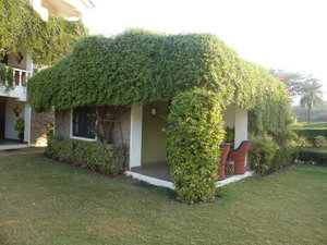 Pushkar Resort - our room