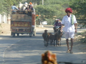 Approaching Jaipur (3)