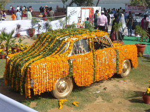 Flower show in Jaipur (9)