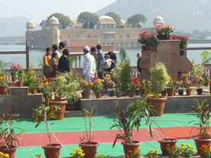 Flower show in Jaipur (12)