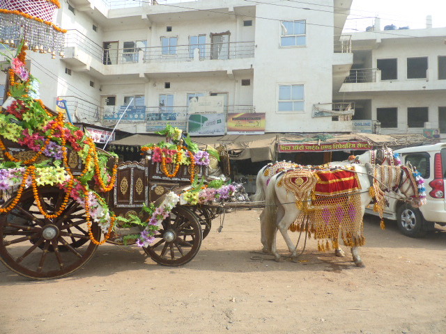 Wedding carrieage in Gwalior