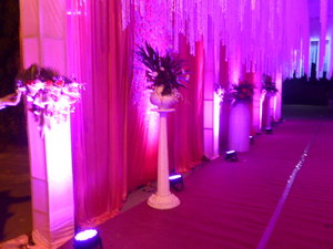 Weddings in our hotel in Varanas (9)