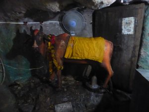 Guteshwor Cave Pokhara (26)