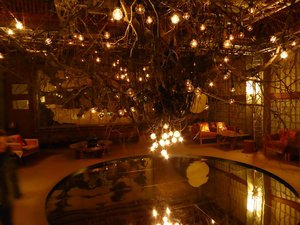Magnificent decore in a hotel with branches and morror