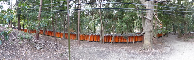 Fushimi Inari Taisha Shrine (14)