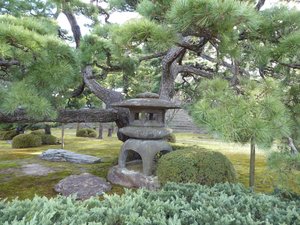Ninomaru and Honmaru Palaces and Gardens Kyoto (13)