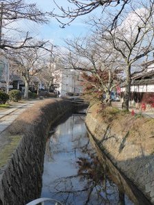 Philosopher's Walk (by canal) in Kyoto (9)