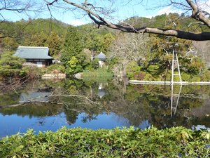 Ryoanji Temple - rock gardens in Kyoto (1)