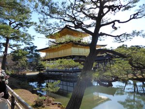 Ryoanji Temple - rock gardens in Kyoto (5)