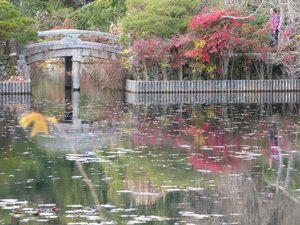 Ryoanji Temple - rock gardens in Kyoto (9)