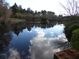 Ryoanji Temple - rock gardens in Kyoto (12)