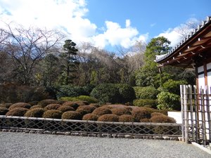 Ryoanji Temple - rock gardens in Kyoto (25)