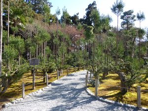 Ryoanji Temple - rock gardens in Kyoto (26)