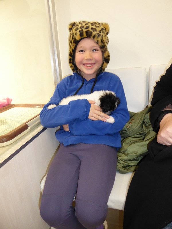 Gemma found a pet shop which let her cuddle a puppy