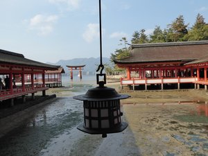 Miyajima Island Itsukushima Shrine (1)