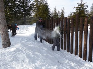 Successful snow fight (1)