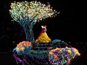 Tokyo Disneyland - Electrical Parade (3)