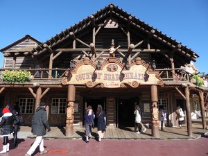 Tokyo Disneyland (9)