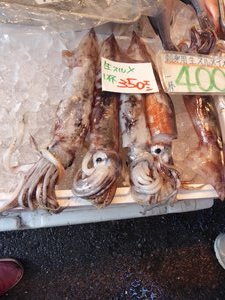 Tsukiji Fish Market  (3)