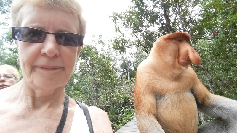 Labuk Bay Proboscis Monkey Sanctuary (1)