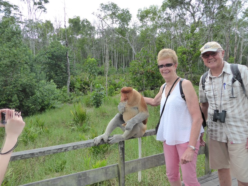 Labuk Bay Proboscis Monkey Sanctuary (44)