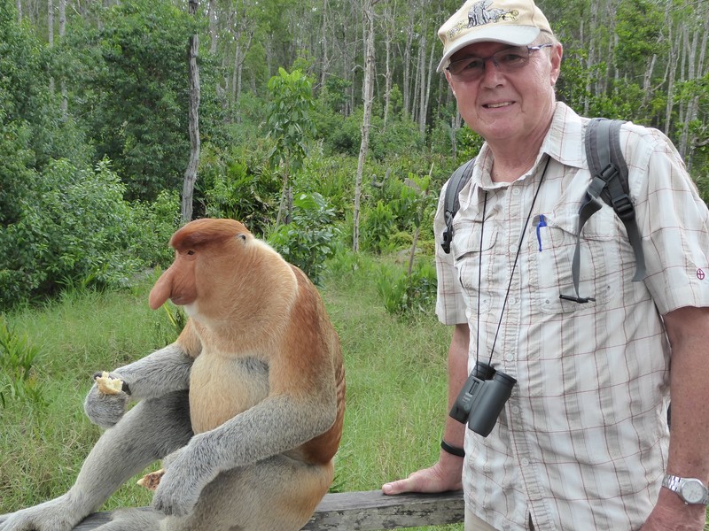 Labuk Bay Proboscis Monkey Sanctuary (45)