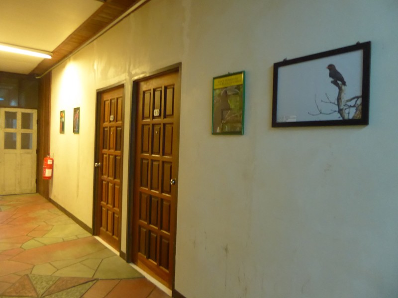 Sepilok Tropical Wildlife Lodge in Sandekan (3)