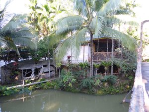 Sepilok Tropical Wildlife Lodge in Sandekan (26)