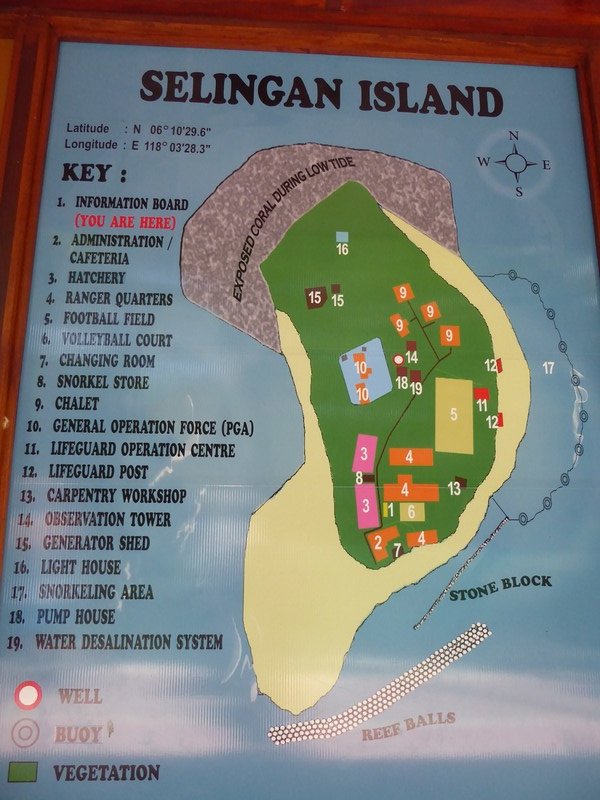 Pulae Salangaan Resort - Turtle Island (2)