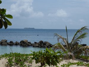 Pulae Salangaan Resort - Turtle Island (11)