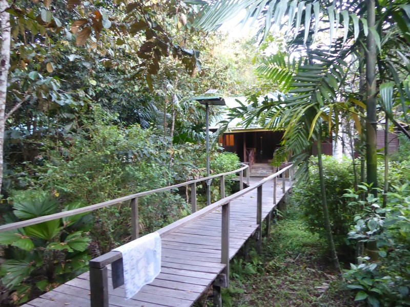 Bilit Adventure Lodge on Kinabatangan River (1)