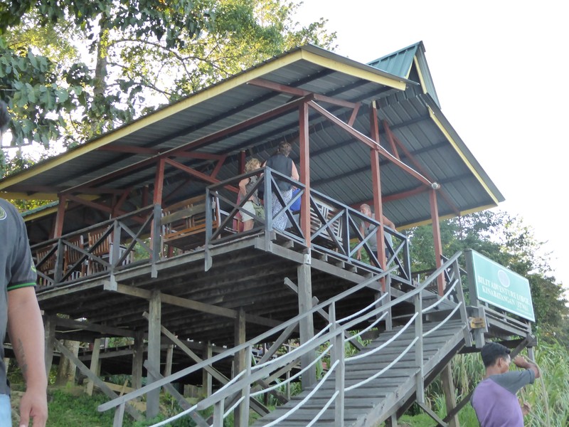 Bilit Adventure Lodge on Kinabatangan River (5)