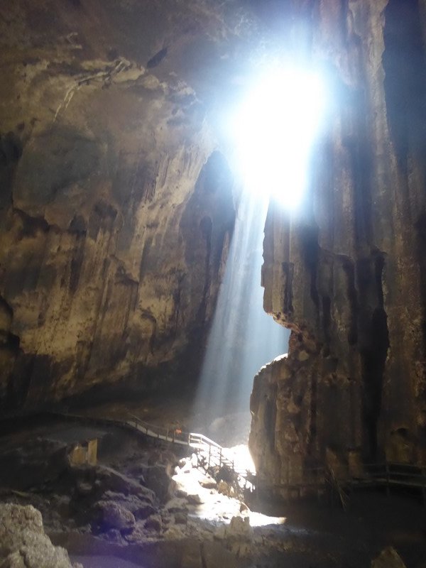 Gomantong Caves