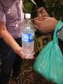 Our jungle walk - Des using forest vine to carry his water (2)
