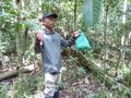 Our jungle walk guide - Herman