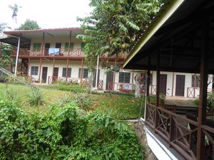 Sabah Tea Factory & Plantation in Ranau (3)