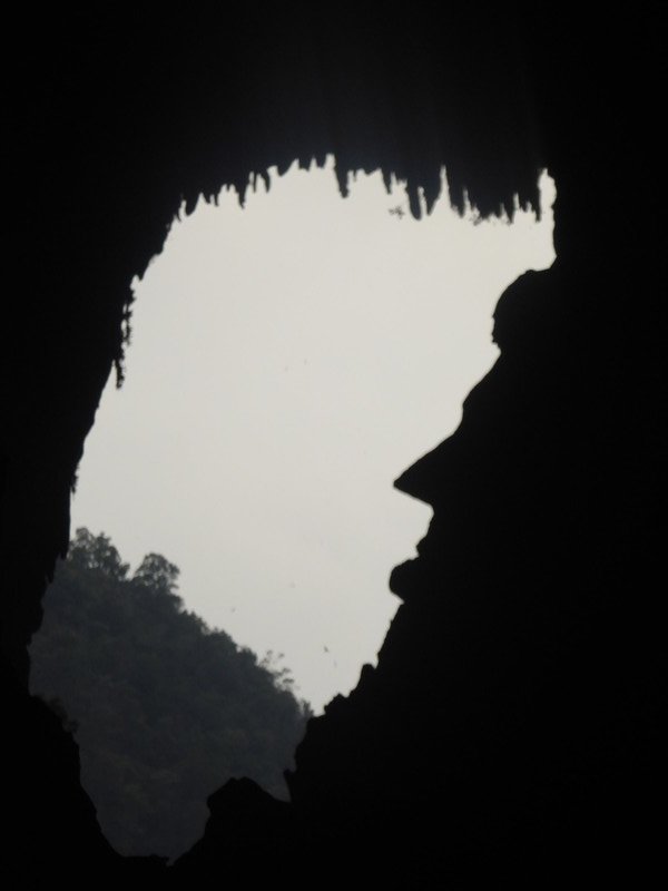 Deer Cave - Abraham Lincoln face