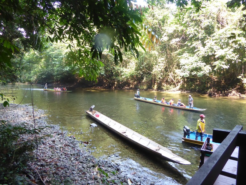 Sungai Melinau River (3)
