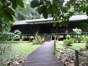 Our accomodation in Mulu National Park - Longhouse 2