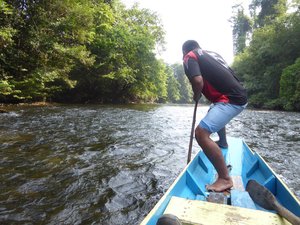 Sungai Melinau River - Steering the boat
