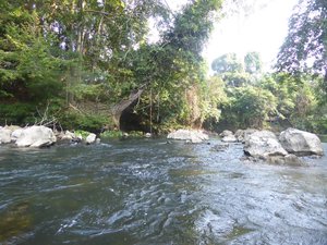 Sungai Melinau River - very shallow in places (1)