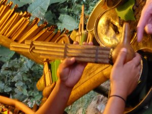 Wooden wind instrument at Mari Mari Cultural Village