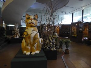 Cat Museum in Kuching (8)