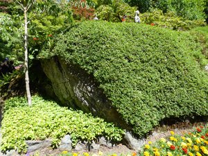 Burchart Gardens Vancouver Island BC (56)