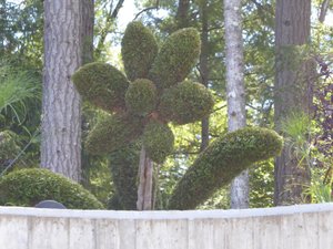 Burchart Gardens Vancouver Island BC (67)