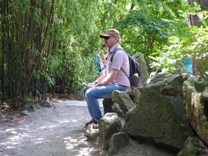 China Town Vancouver - Dr SunYat-Sen Gardens (17)