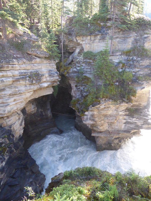 Athabasca Falls (42)
