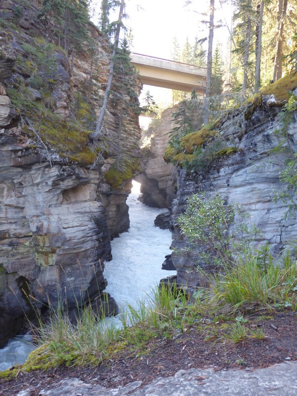 Athabasca Falls (50)