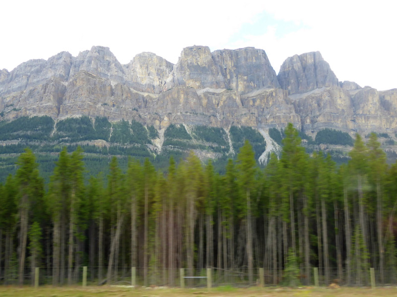 Along the Canadian Highway north of Banff (1)