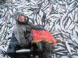 Ketchikan Fishing Industry (1)